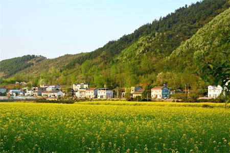 房子地基沉降（地基沉降保險理賠流程分析,地基沉降保險理賠流程）