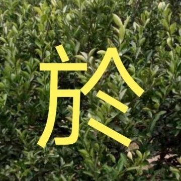 鋼屋架圖紙怎么看（如何看鋼屋架圖紙）