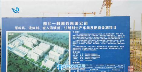 河北加固有限公司（建筑結構抗震技術解析，河北加固公司客戶評價）