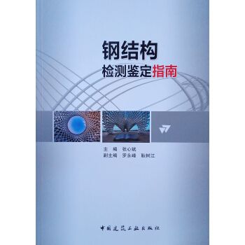 鋼結構檢測鑒定指南（鋼結構檢測設備選型指南,鋼結構檢測數據分析方法）